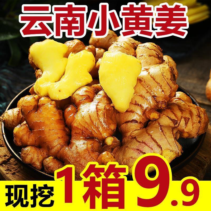 姜新鲜250g竹根姜四川特产生姜老姜小黄姜川姜月子姜土姜生姜新鲜