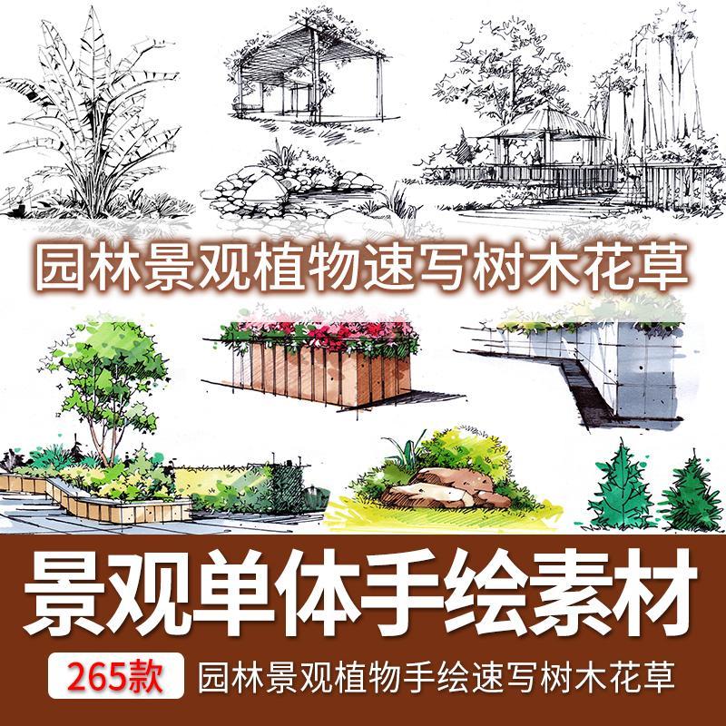 园林景观植物手绘速写树木花草小景钢笔画马克笔学习临摹图片素材