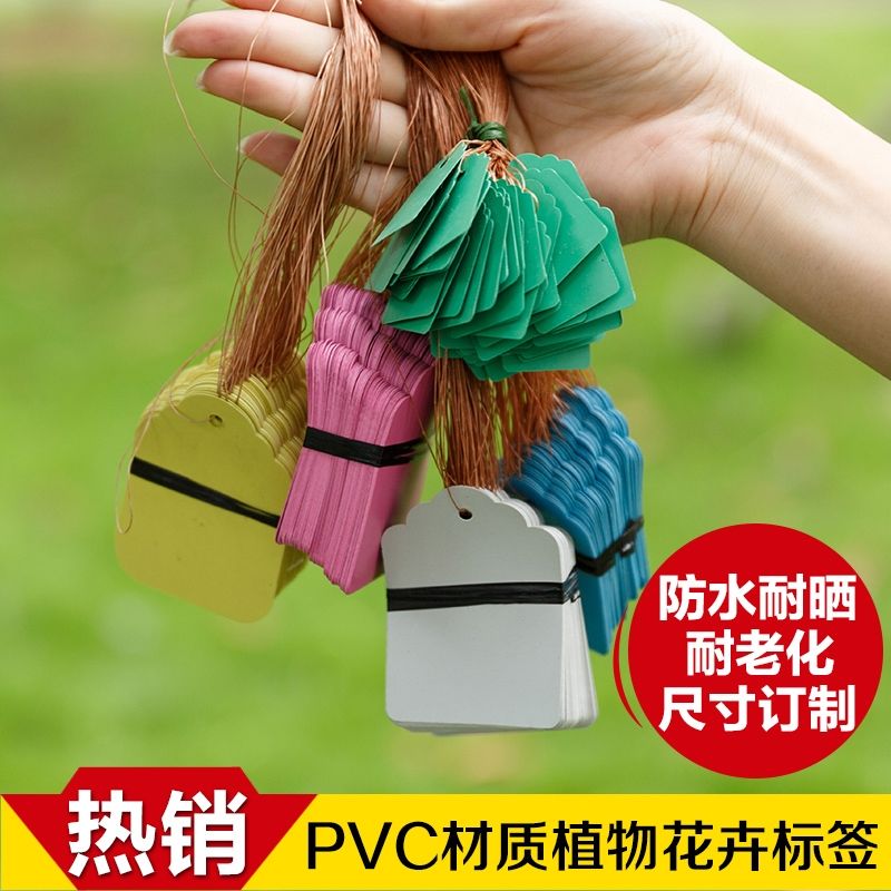 PVC防水标签/园艺标签/花卉牌/吊牌//吊签园艺吊牌