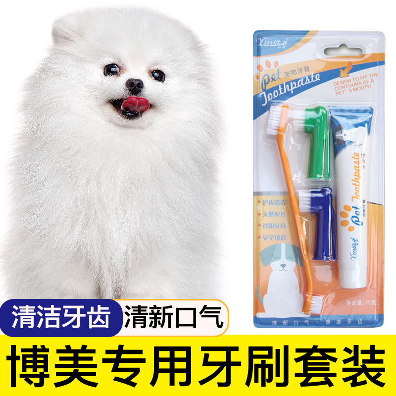 博美专用狗狗牙刷宠物牙膏套装刷牙牙用具牙齿清洁用品指套