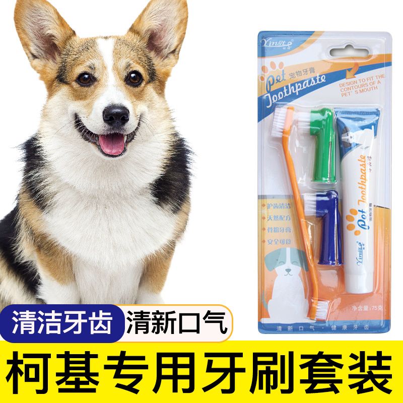 柯基专用狗狗牙刷宠物牙膏套装刷牙牙用具牙齿清洁用品指套