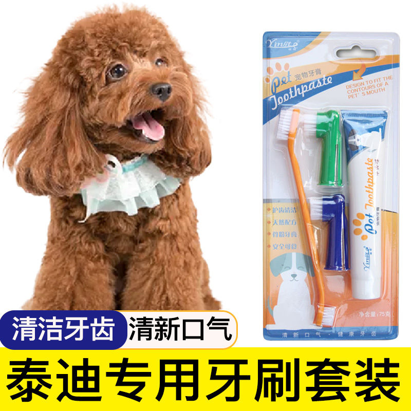 泰迪专用狗狗牙刷宠物牙膏套装刷牙牙用具牙齿清洁用品指套