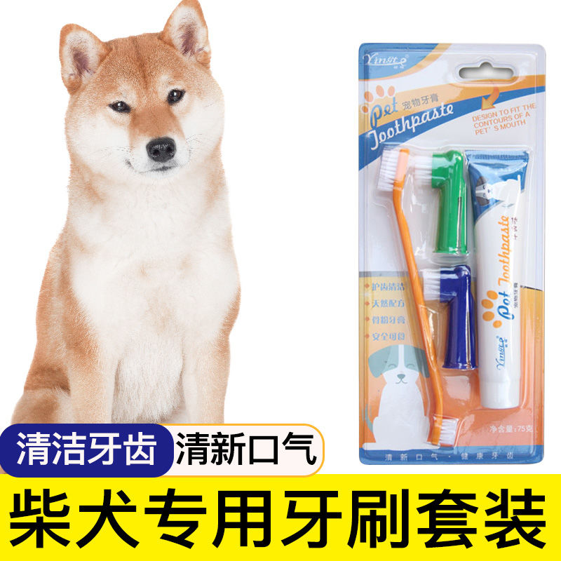 柴犬专用狗狗牙刷宠物牙膏套装刷牙牙用具牙齿清洁用品指套