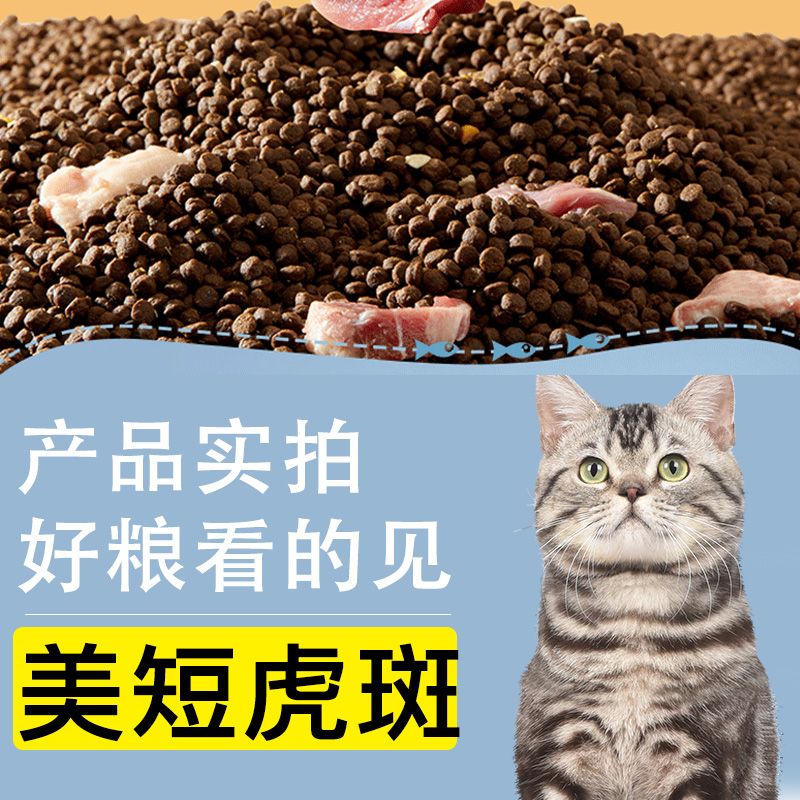 美短虎斑专用猫粮成猫幼猫全阶段三文鸡肉发腮2斤4斤装小猫