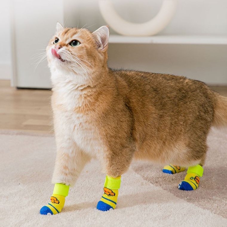 猫咪专用鞋子袜子防止猫咪抓人防脏外出猫爪脚套小猫夏季宠物鞋套