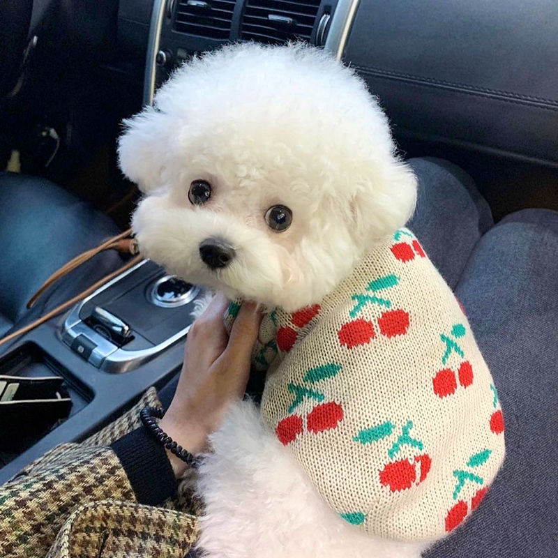 Special Offer Pet Knitted Sweater Teddy Bears Pomeranian Cherry Yorkshire VIP Small Dog Clothes