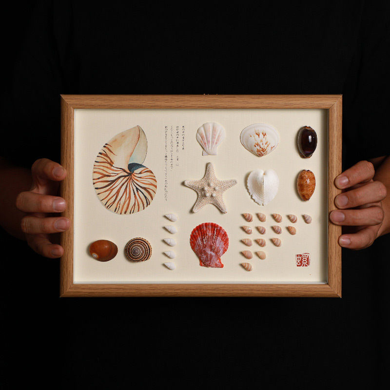 天然贝壳标本海螺相框diy手工装裱制作展示摆台家居装饰立体挂画