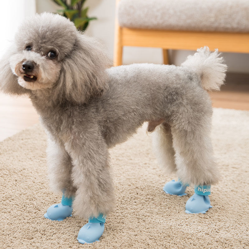Dog Shoes Summer Silicone Rain Boots Teddy Bichon Small Dog Foot Cover Rain Boots Pet Waterproof Non-slip Non-falling Feet