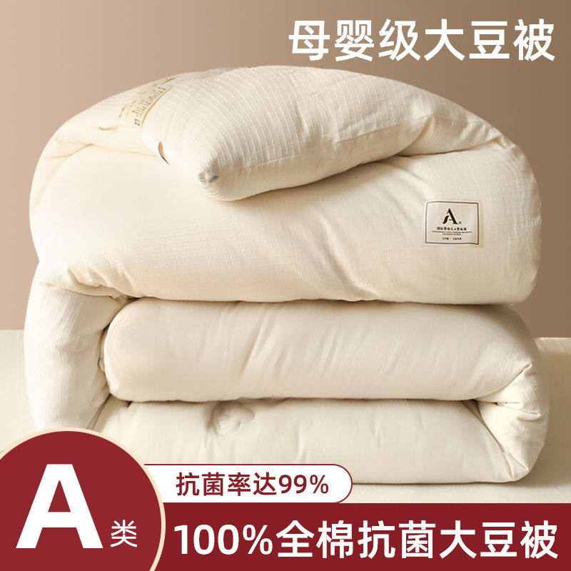 A类大豆纤维被子冬被冬天加厚保暖全棉被芯冬季10斤棉被丝棉单人8
