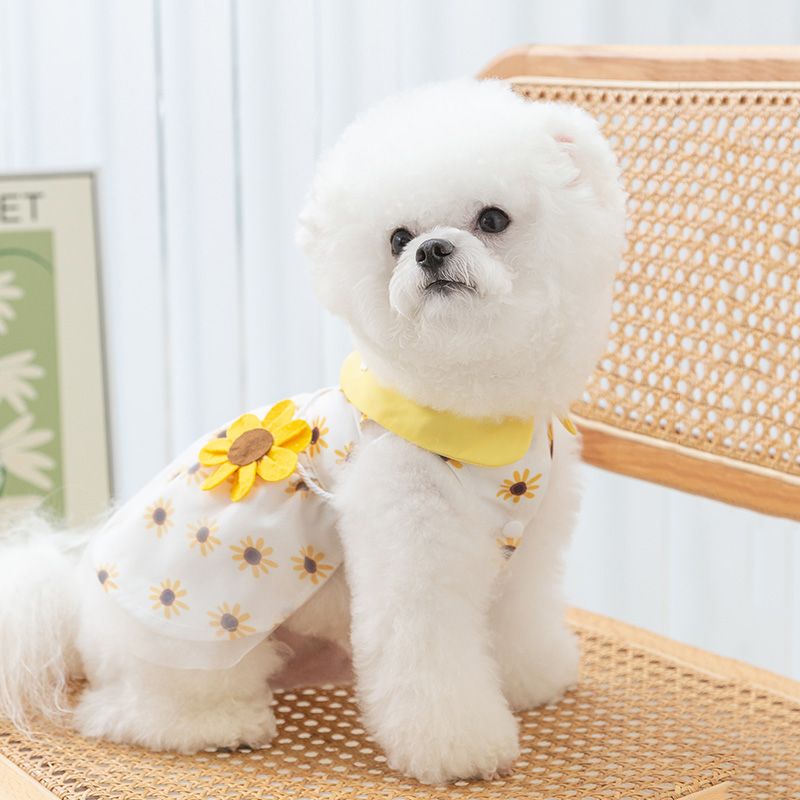 Sidebag Tank Top Skirt Small Dog Teddy Bomei Small Dog Pet Cat Clothes Summer Thin Dress Skirt