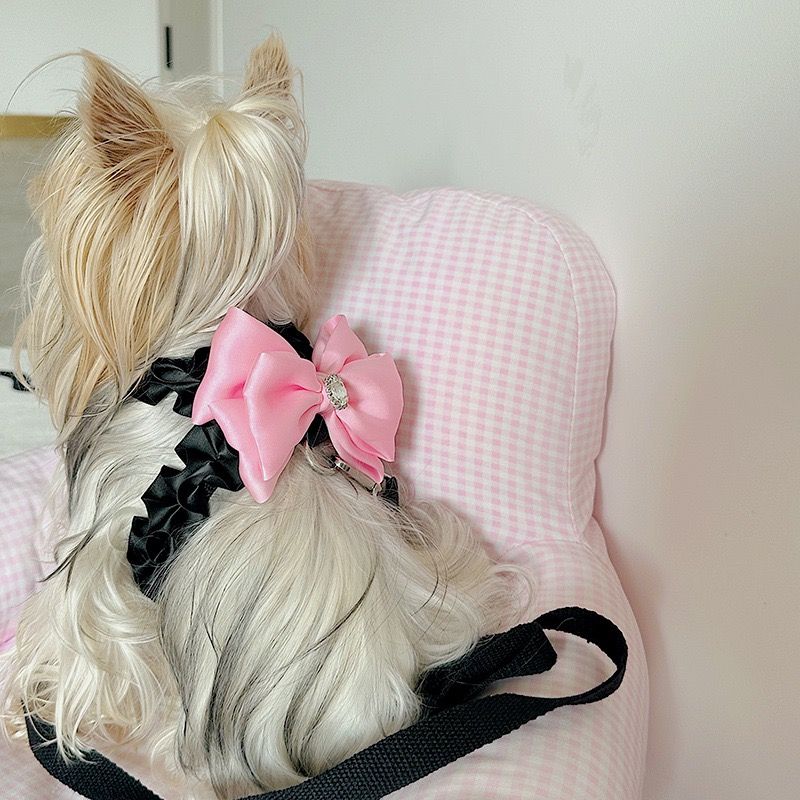 New adjustable pet harness Yorkshire Bichon Teddy leash small dog dog out walking leash