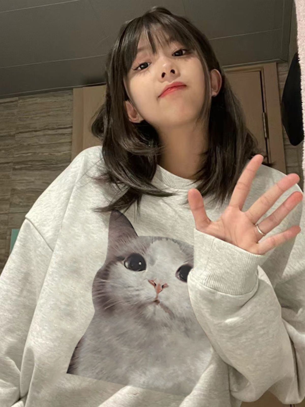100%重磅純棉貓咪印花衛衣女2023春秋季新款寬鬆休閒小眾設計外套