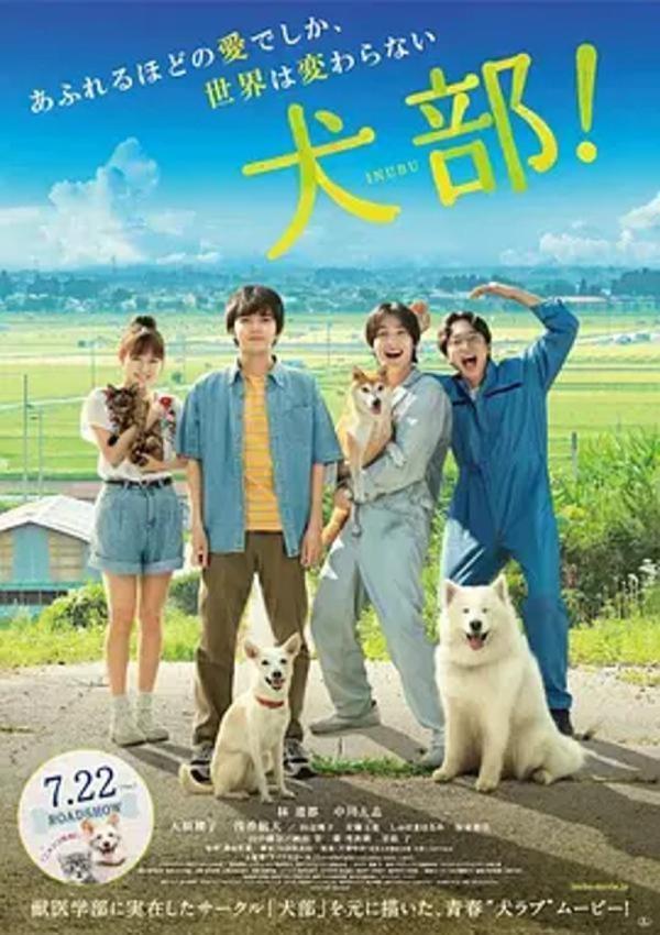 犬部！ [2021][6.9分]