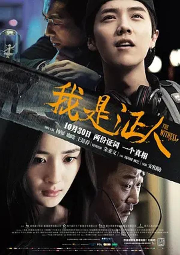 我是证人 [2015][6.3分]