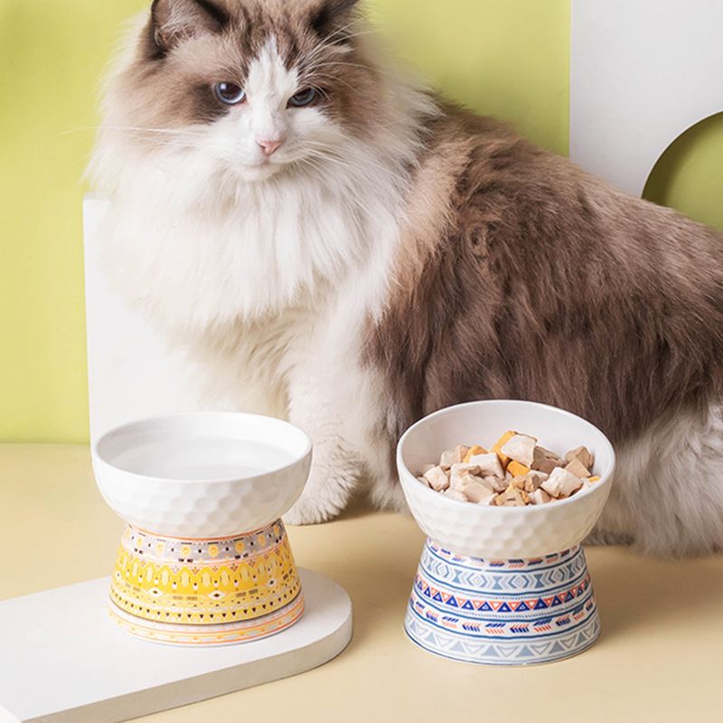 陶瓷高脚猫碗保护颈椎猫咪狗宠物零食饮水盆