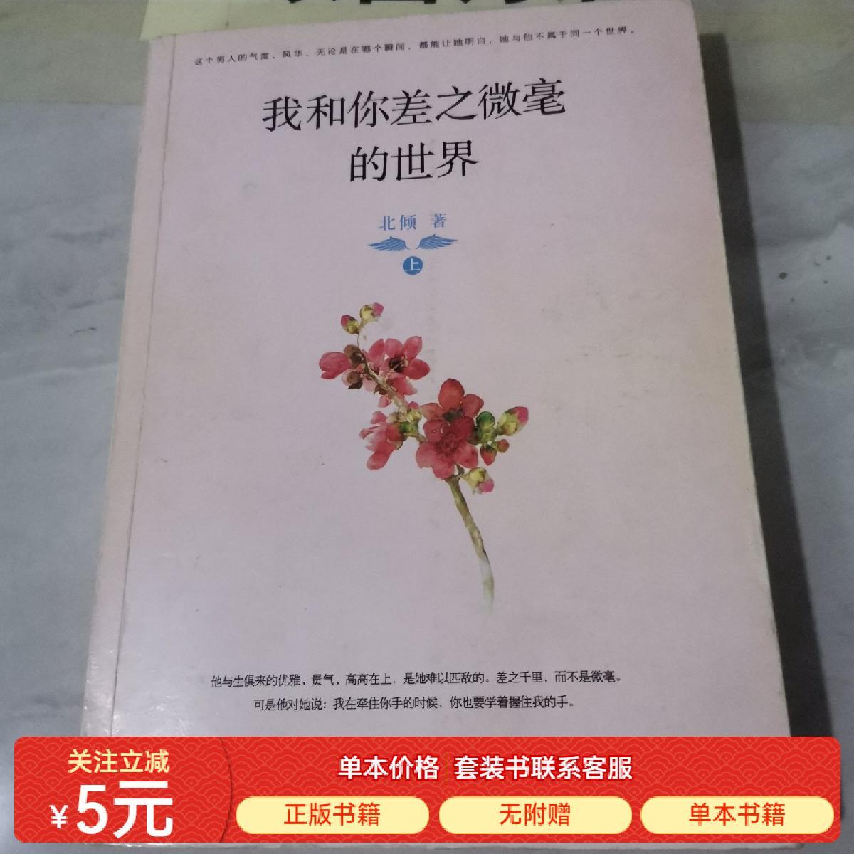 我和你差之微毫的世界北倾