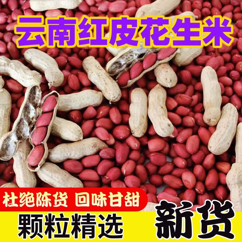 红皮花生米云南当季新货红衣花生无壳红花生生花生杂粮批发小粒