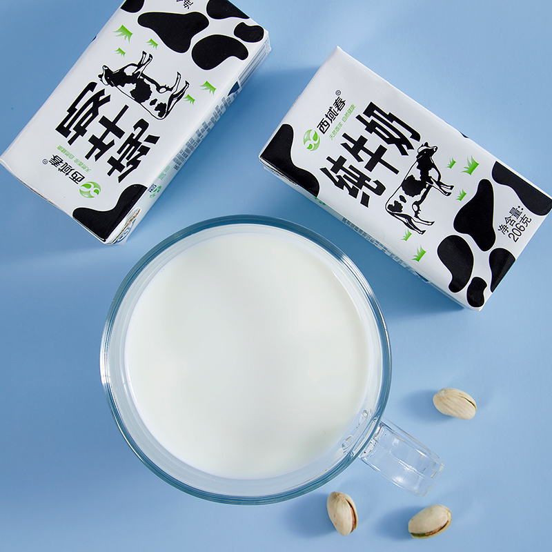 新疆西域春黑砖纯牛奶常温老人学生儿童206g*20盒【11月生产】