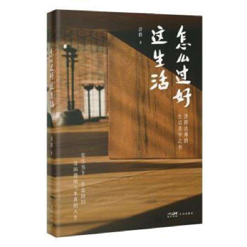 正版怎么过好这生活济群著文学好书