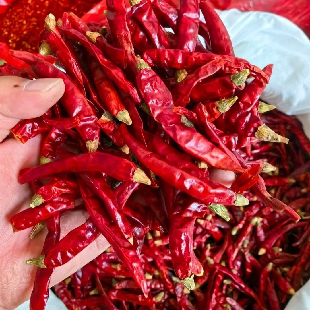 新货朝天椒干辣椒河南特辣微辣干燥红辣椒美味卤味调料新鲜正宗
