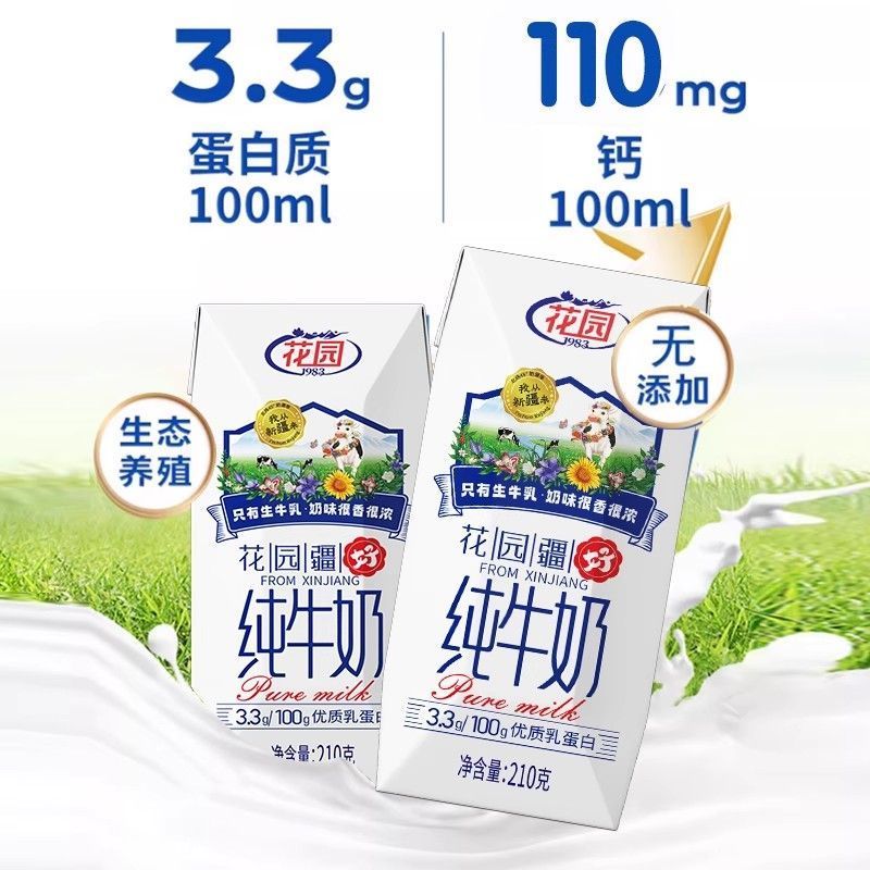 新疆新品花园疆好纯牛奶210g*3箱全脂3.3牛乳早餐蛋白高端3大箱 图片 2