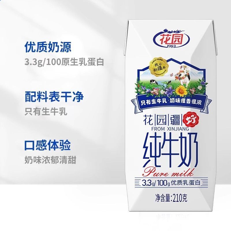 新疆新品花园疆好纯牛奶210g*3箱全脂3.3牛乳早餐蛋白高端3大箱 图片 4