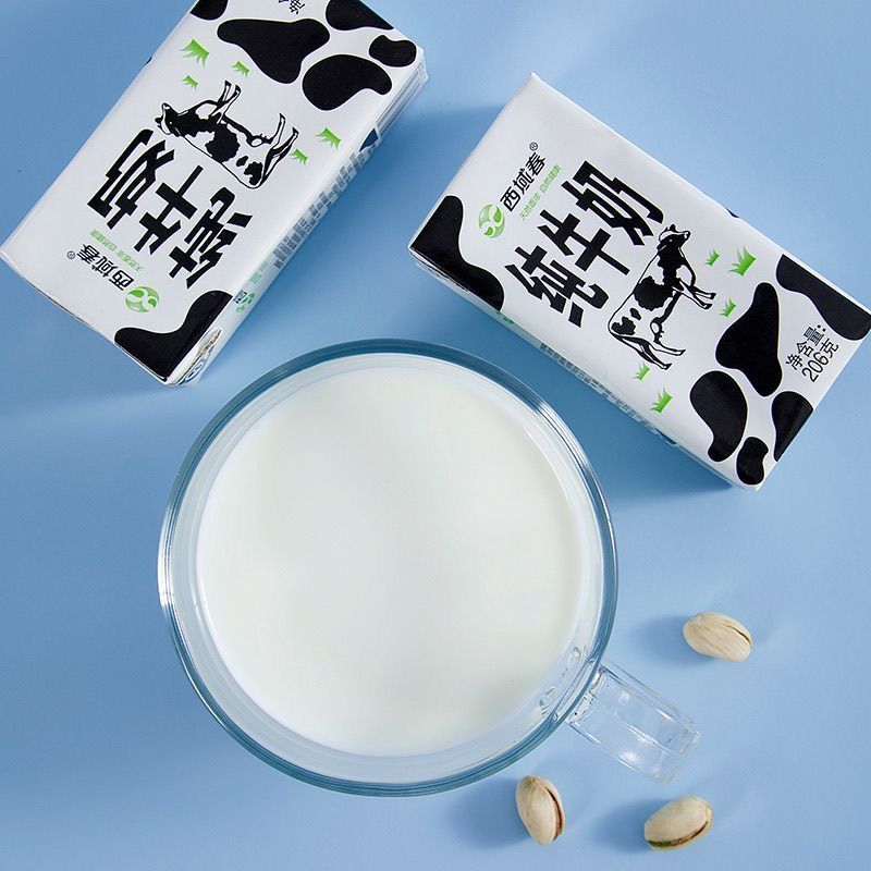 新疆西域春黑砖纯牛奶盒装206g*20盒整箱早餐【加量不加价】