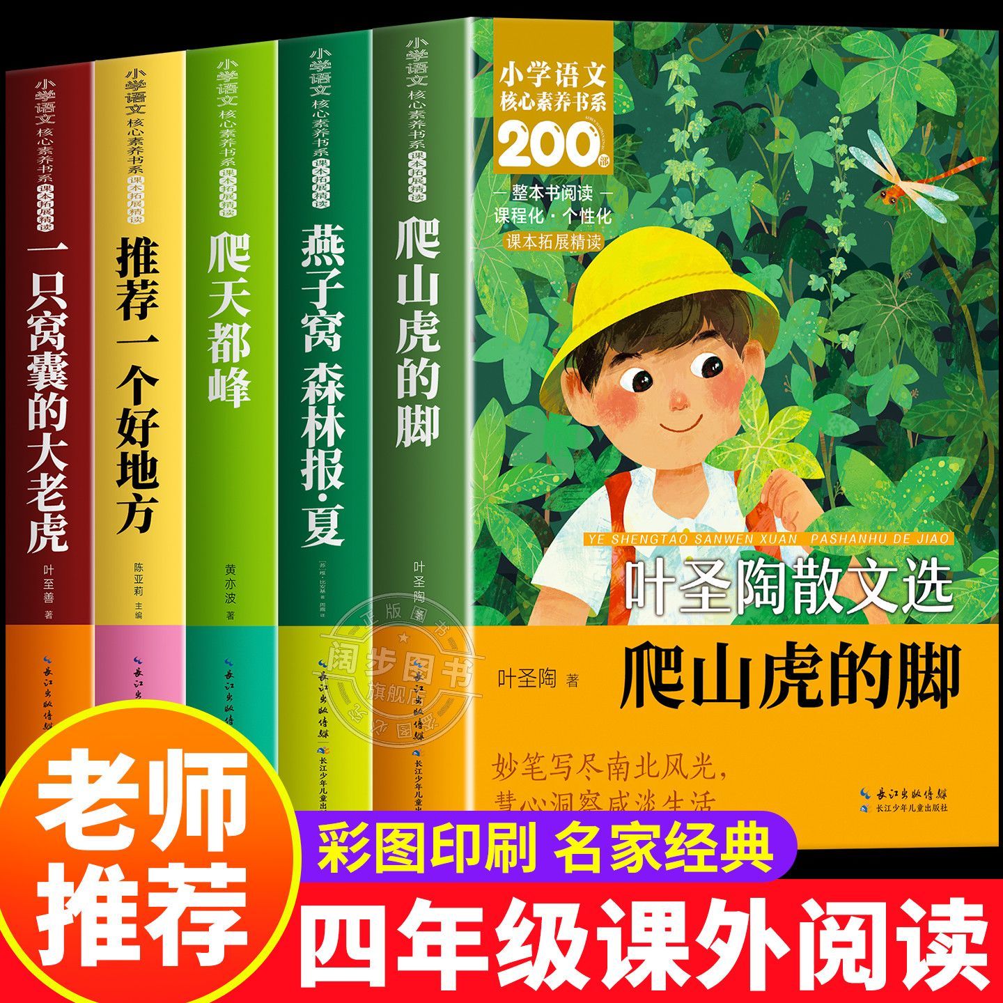 爬山虎的脚四年级阅读课外书必读爬天都峰燕子窝一只窝囊的大老虎