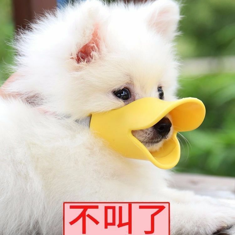 商品缩略图 6