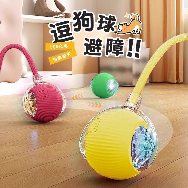 专业猫咪玩具比熊撕不烂1到4个月dogs训狗神器新款