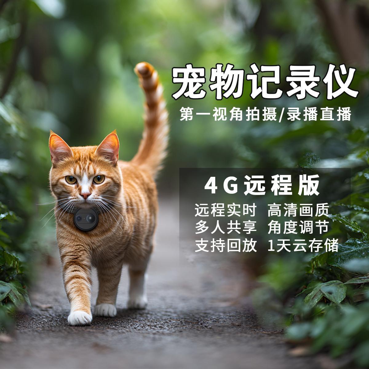 4G猫狗宠物视角摄像头挂脖记录仪监控智能项圈背带猫咪