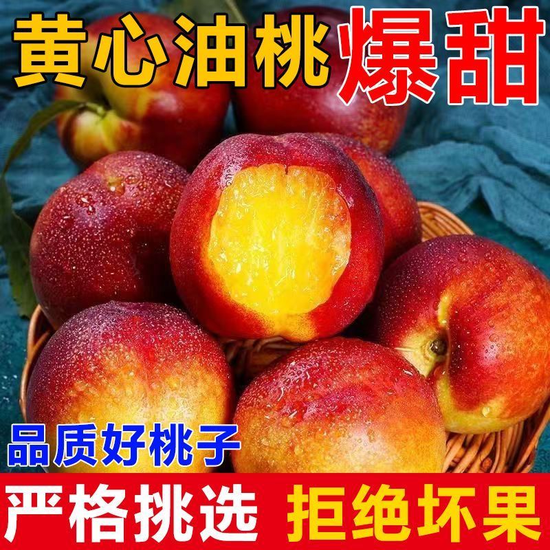 真甜头茬黄心油桃现摘脆甜桃子新鲜脆桃正宗应季水果当季水果