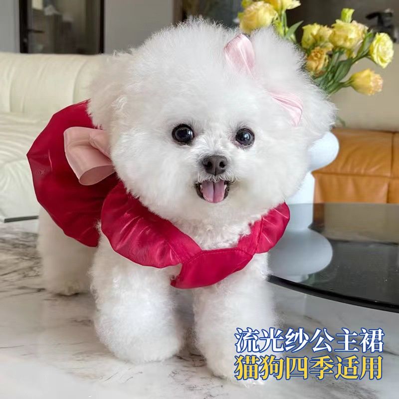 纱泰迪公主裙裙子衣服流光夏猫宠物衣服比熊小型狗春宠物狗衣服单