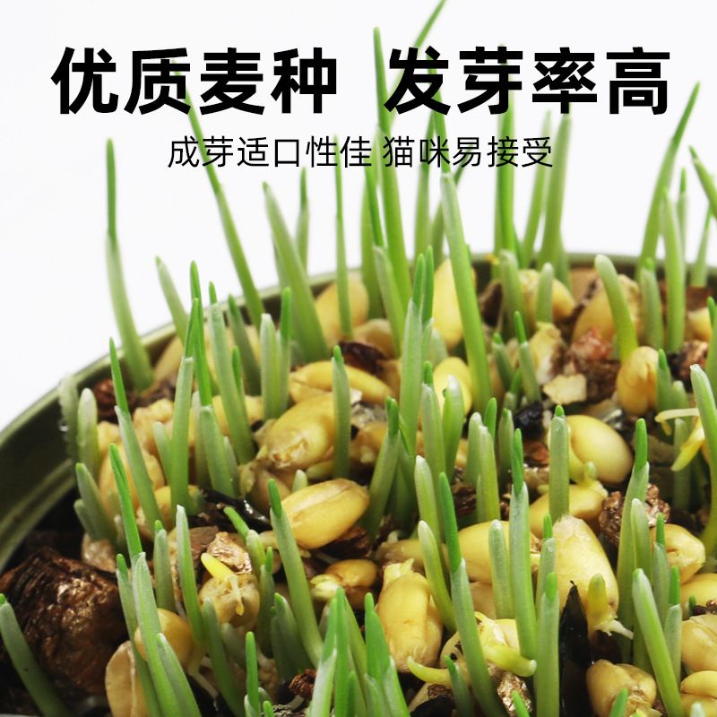商品缩略图 2