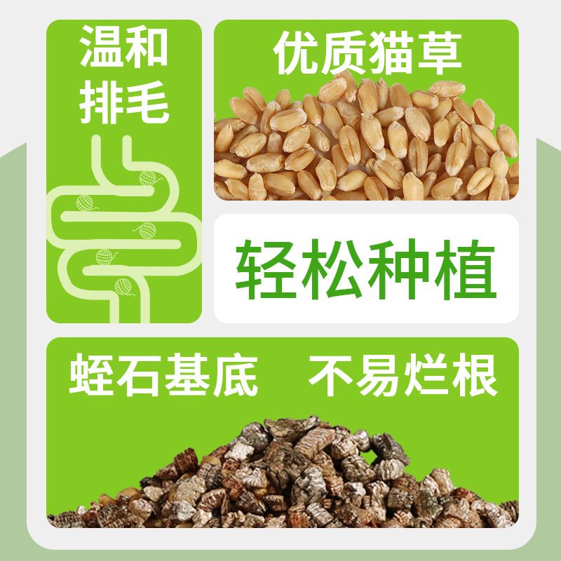 商品缩略图 4