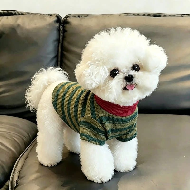 狗狗衣服春秋季薄款条纹两脚衣小型犬比熊泰迪博美雪纳瑞洋气卫衣