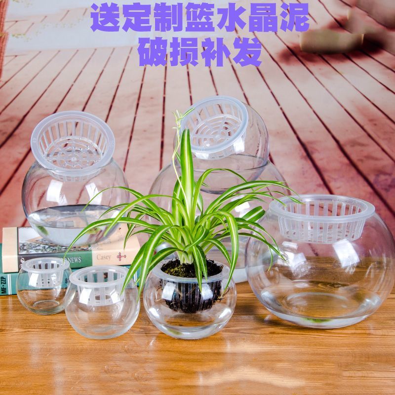 水培植物玻璃圆球透明花瓶养花玻璃瓶绿萝富贵竹养鱼缸容器大批发