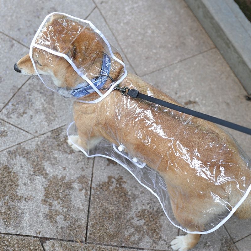 雨衣防水小狗狗狗透明的雨衣泰迪比熊贵宾小型犬宠物雨披衣服鞋子