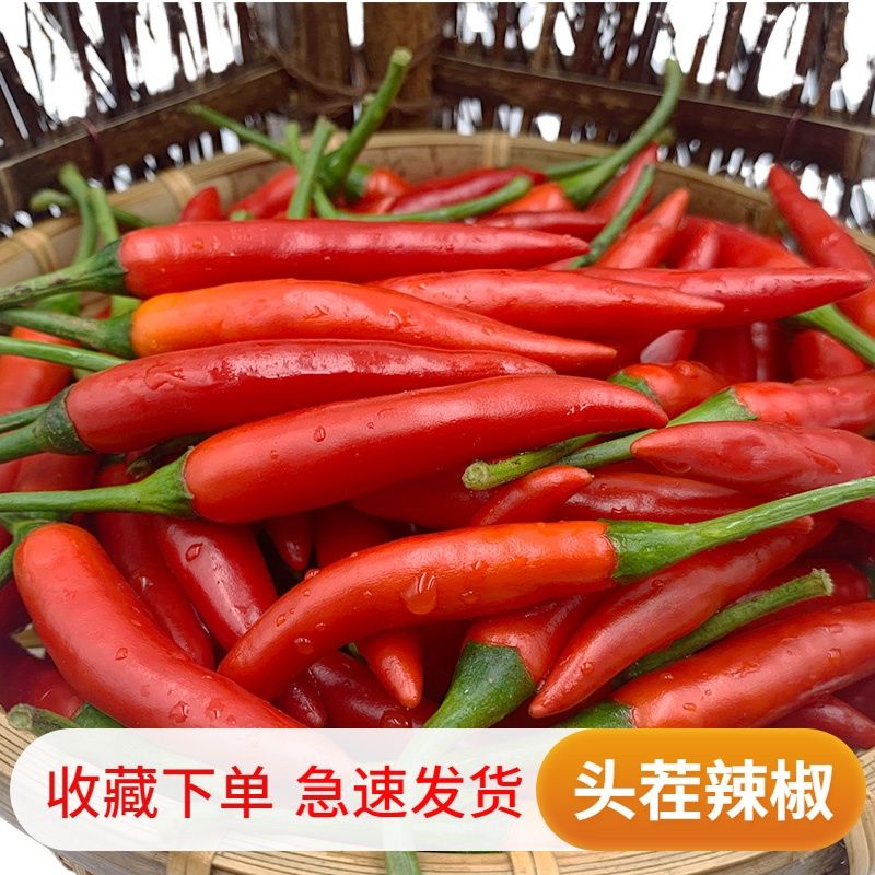 小米椒斤红辣椒新鲜现摘特辣小米辣椒朝天椒农家土蔬菜鲜叶菜类
