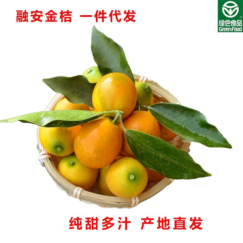融安金桔脆皮滑皮金桔纯纯甜不麻嘴产地直发