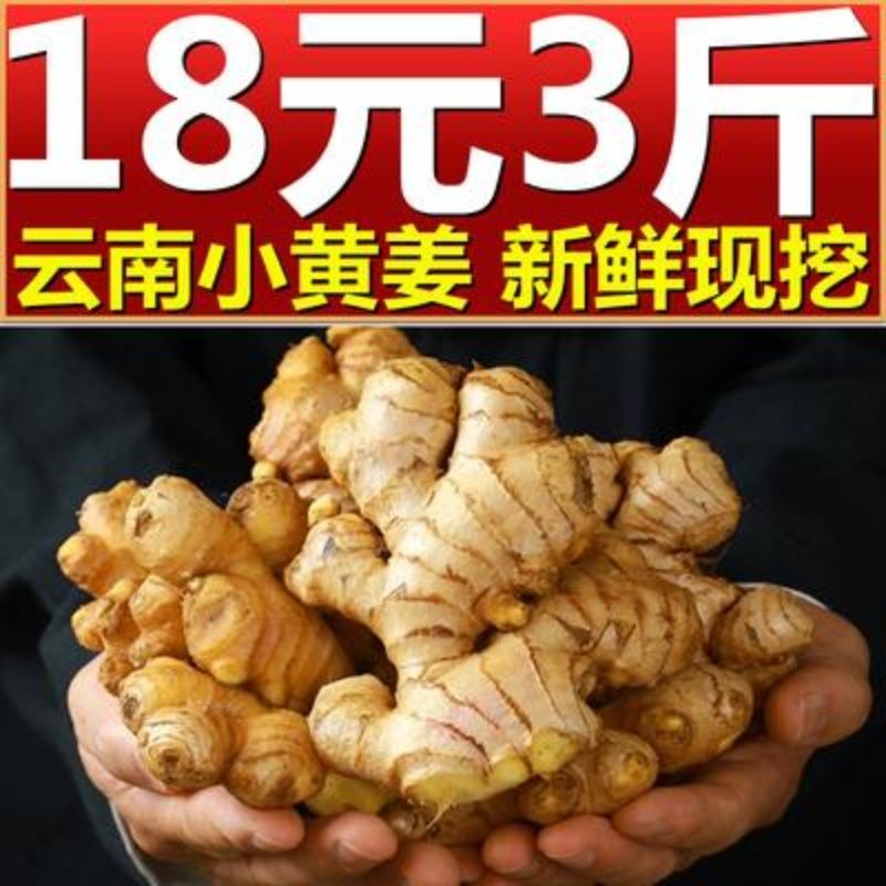 75858-生姜精选云南小黄姜老姜新鲜现挖生姜新姜月子姜老姜新鲜蔬菜嫩姜-详情图