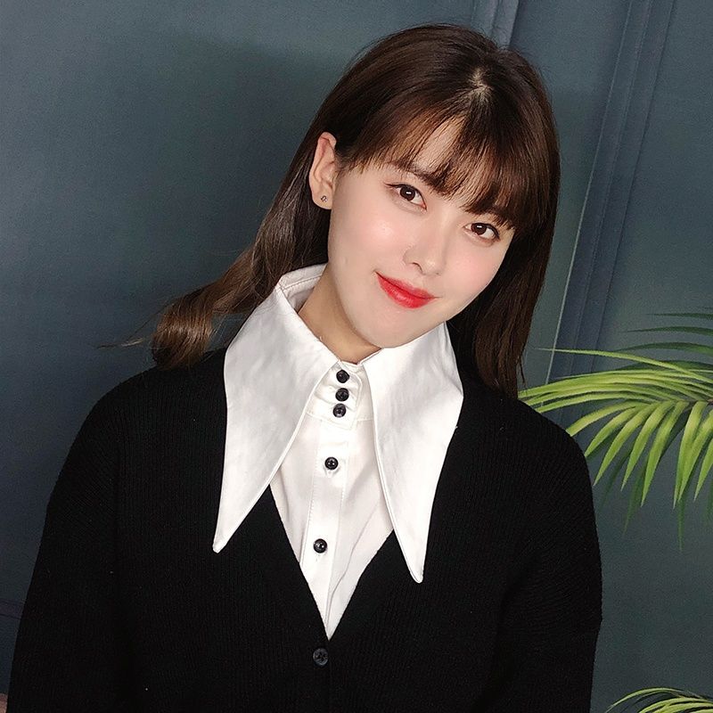 新款大翻領韓版假領子女士搭配毛衣裝飾領配飾襯衣領秋冬假領白色