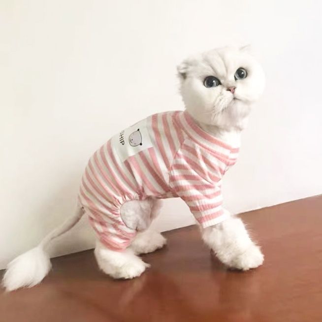 Cat four legged clothes for autumn and winter, warm and anti falling woolen cloth, short blue cat pet, Teddy dog clothing, spring and autumn clothing