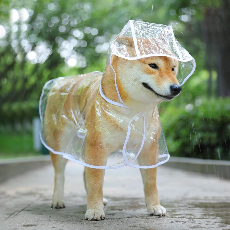 雨衣防水小狗狗狗透明的雨衣泰迪比熊贵宾小型犬宠物雨披衣服鞋子
